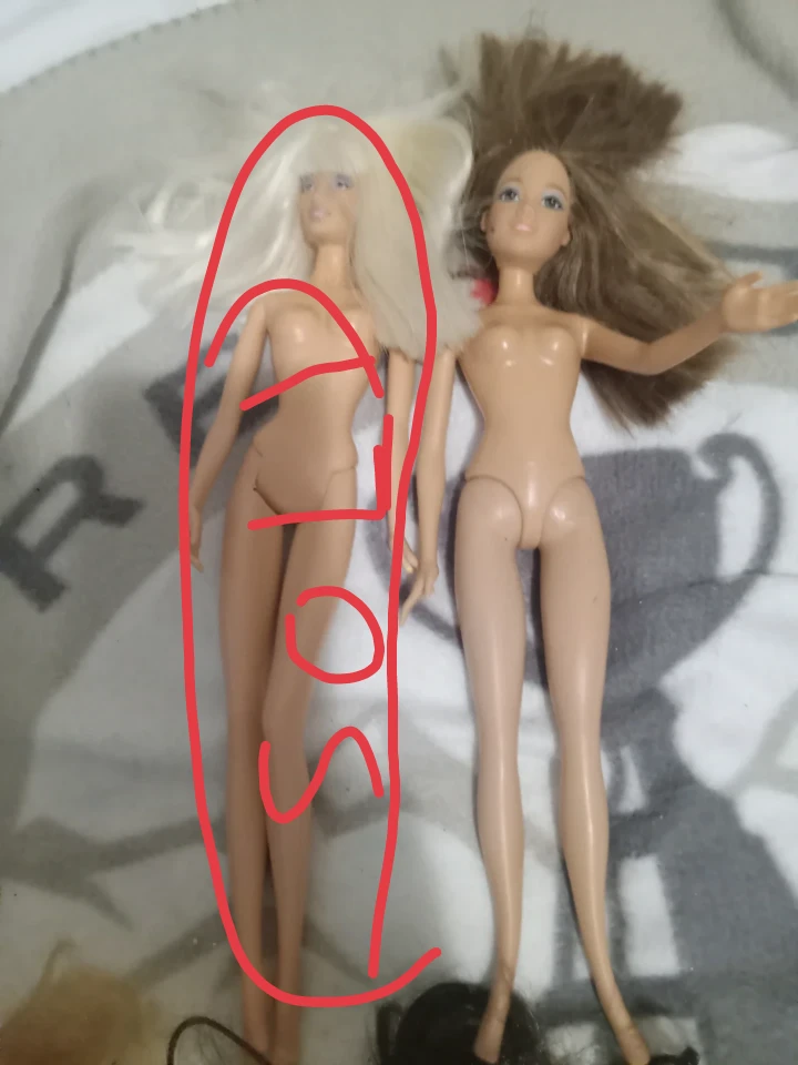Barbie Dolls (2) - Blonde & Brunette