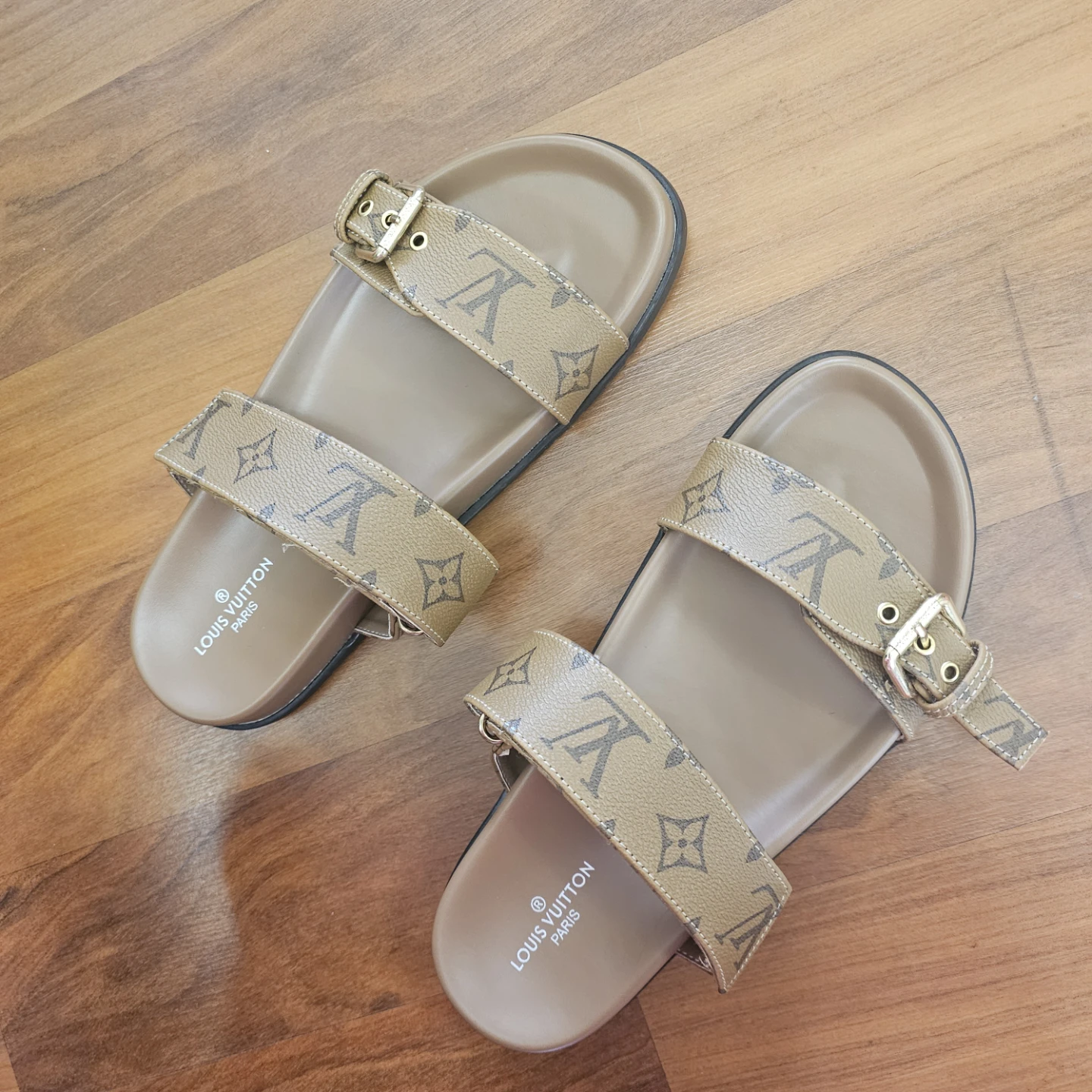 Louis Vuitton Monogram Sandals