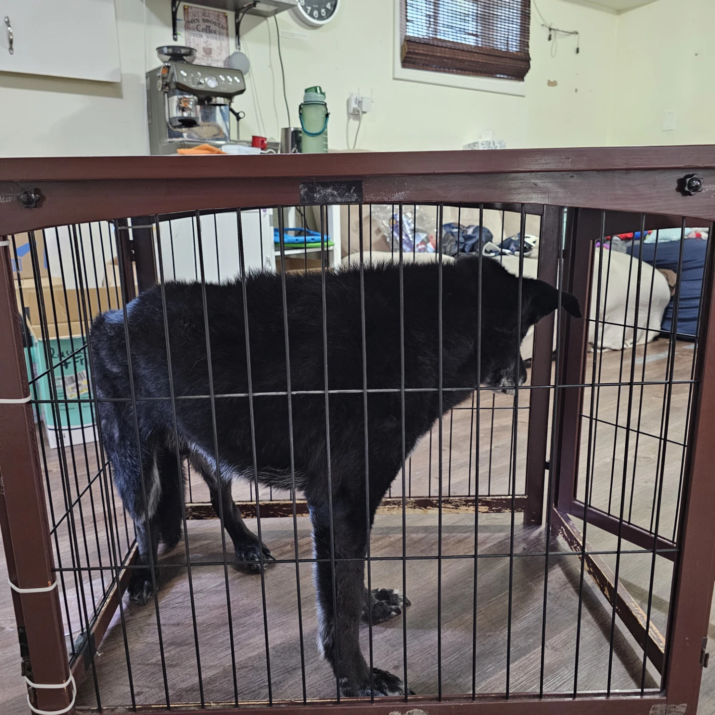 Wooden Dog Crate / End Table (Large) – Collapsible - photo 4