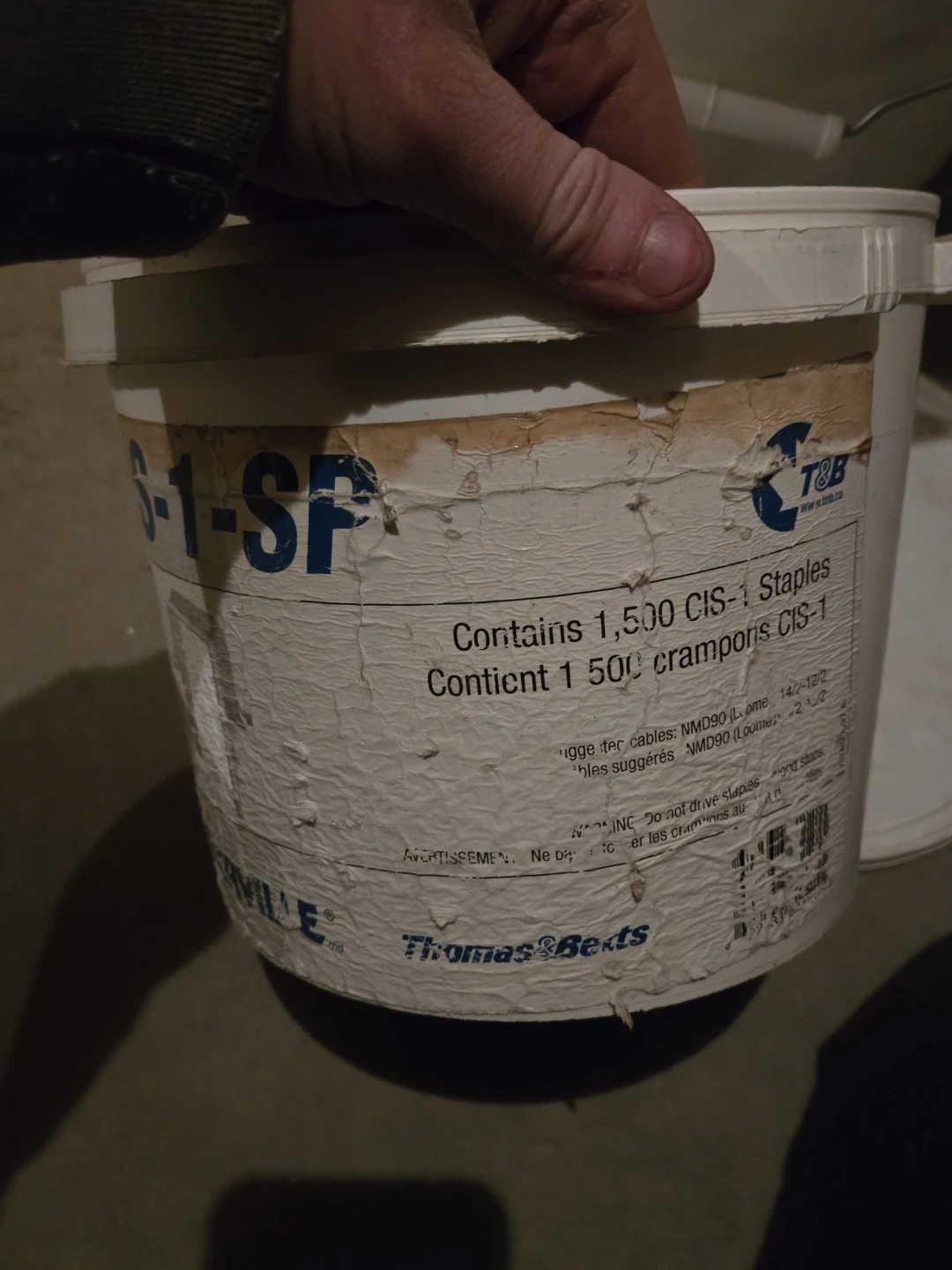 Stainless steel wall staples