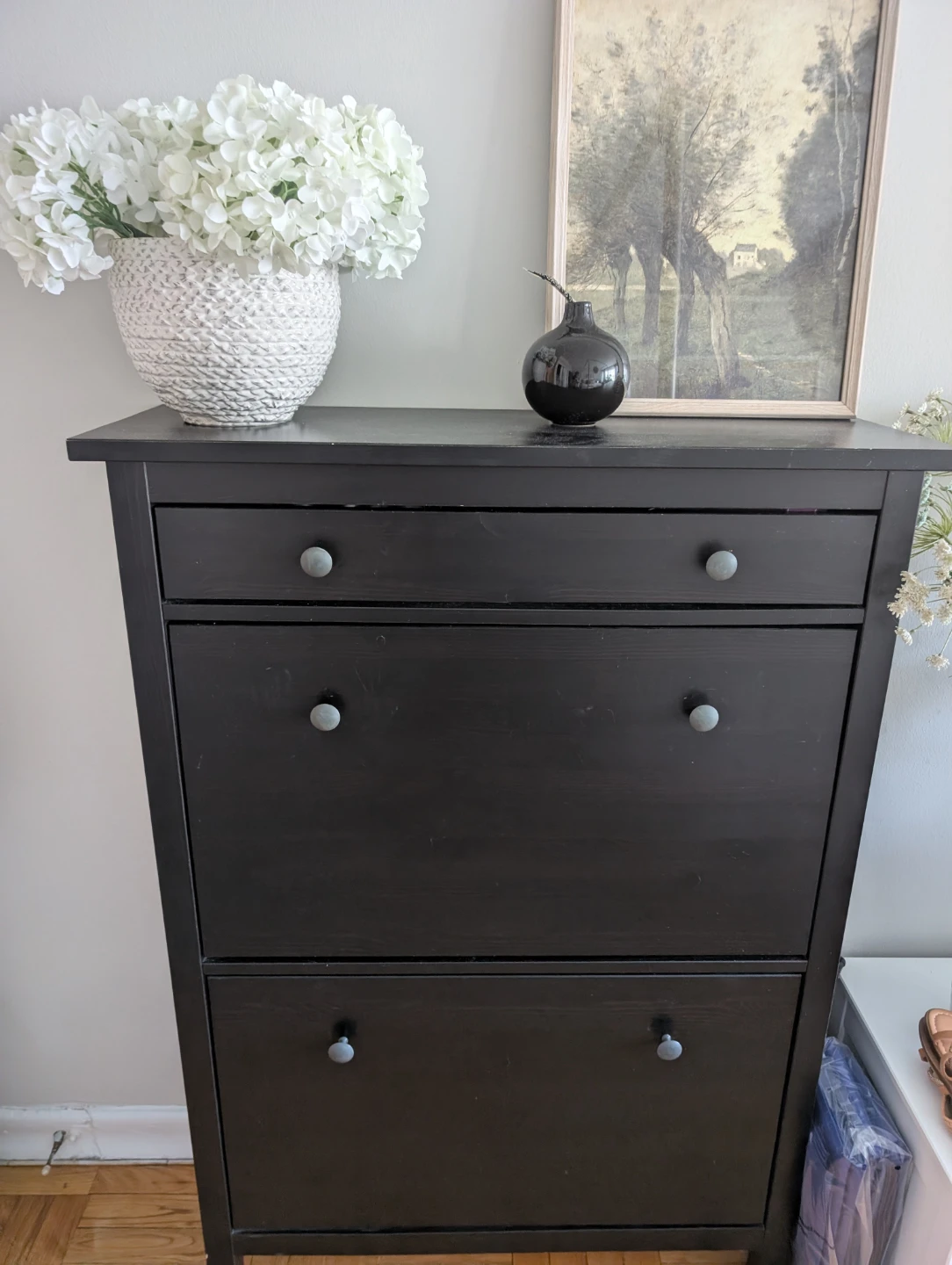 IKEA HEMNES Black Shoe Cabinet - photo 2