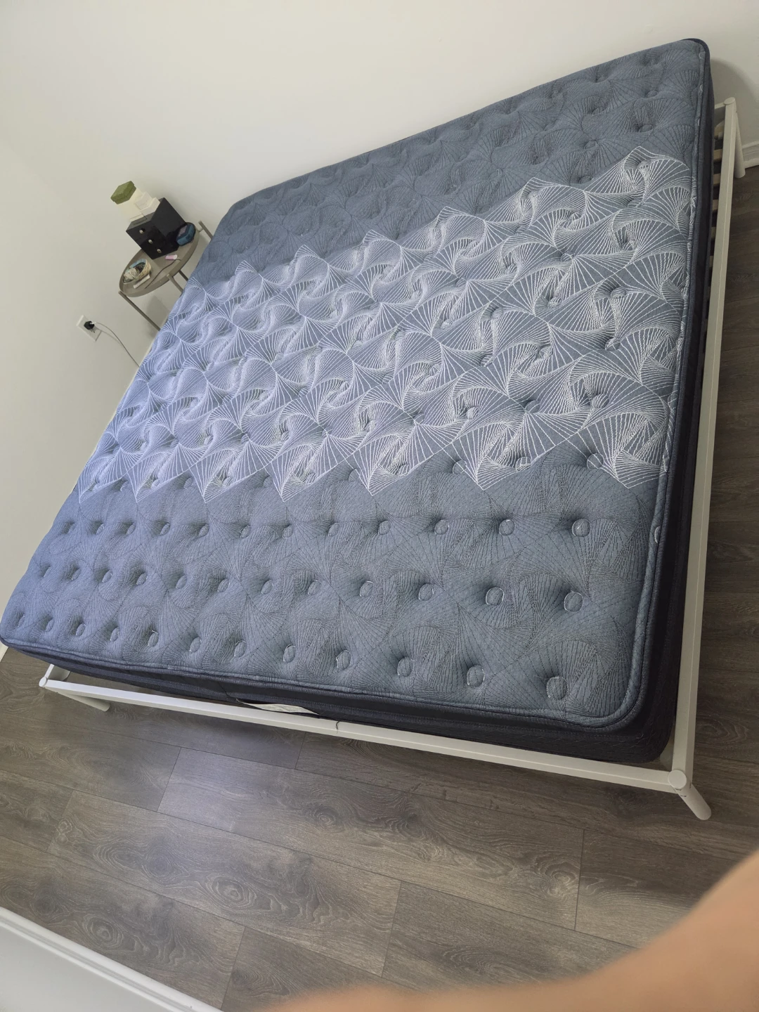 Serta BackLogic Mattress king size and frame