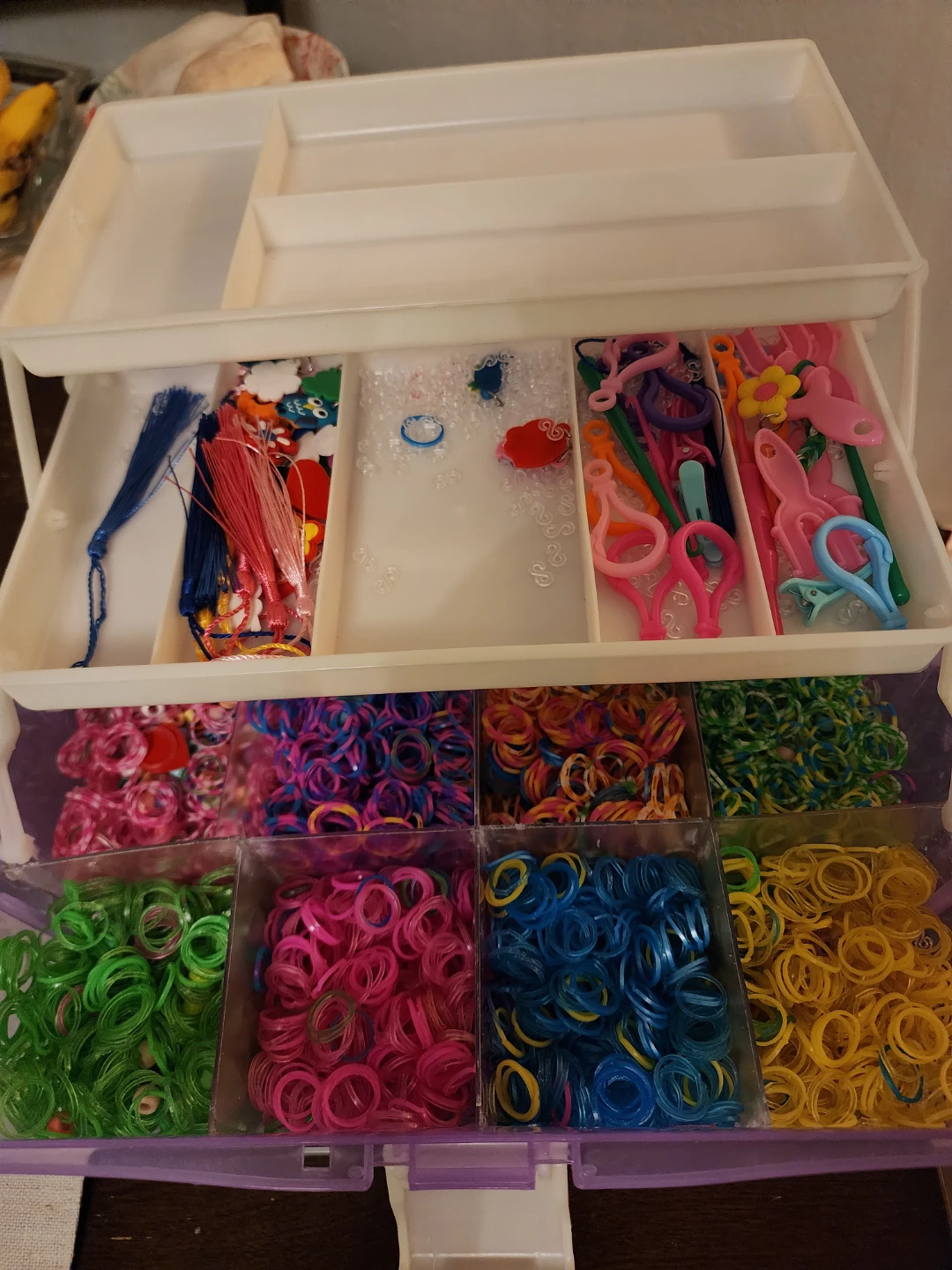 Rainbow Loom Rubber Bands & Organizer Case - photo 2
