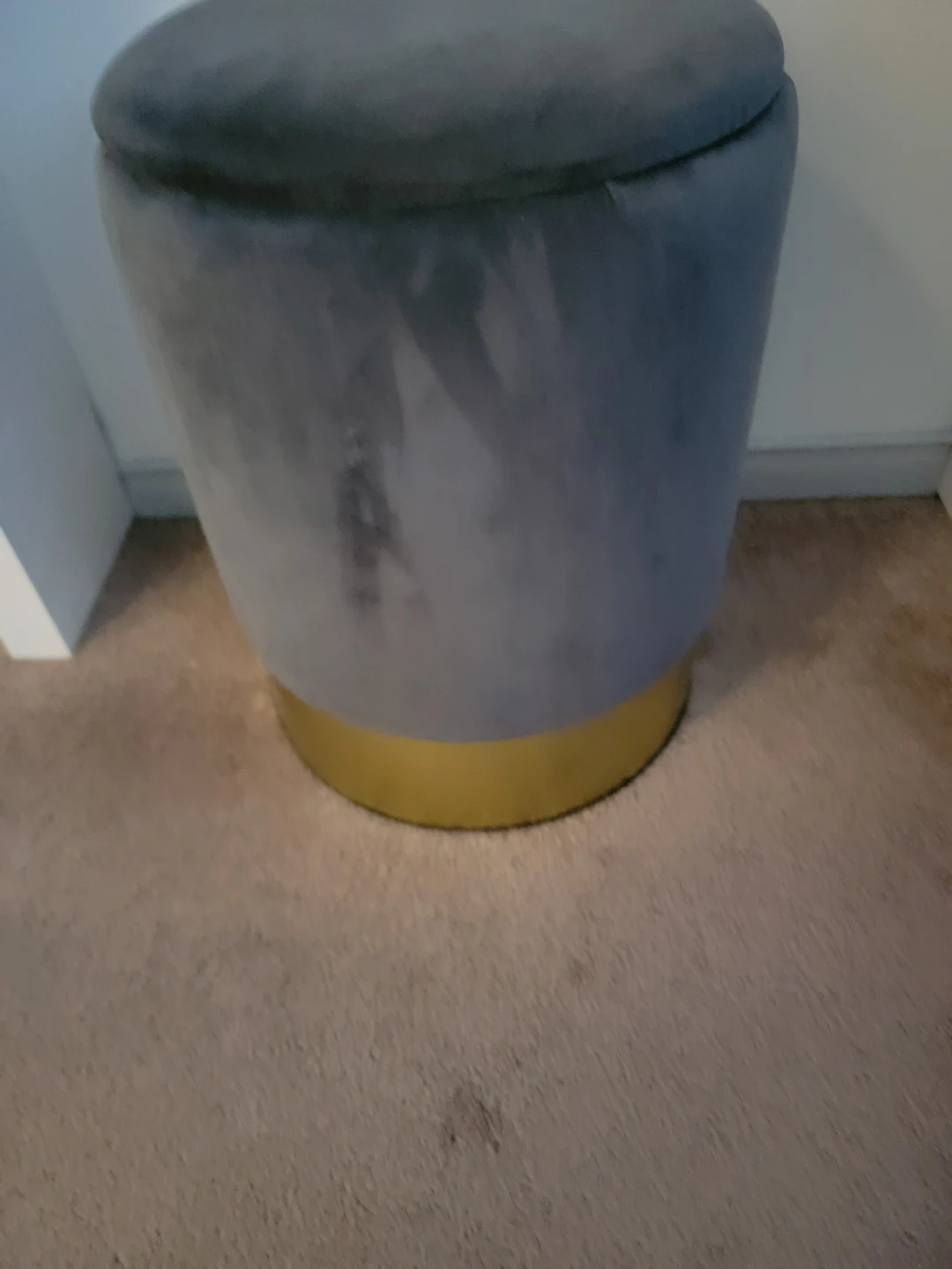 Grey Velvet Storage Ottoman with Gold Base - photo 4