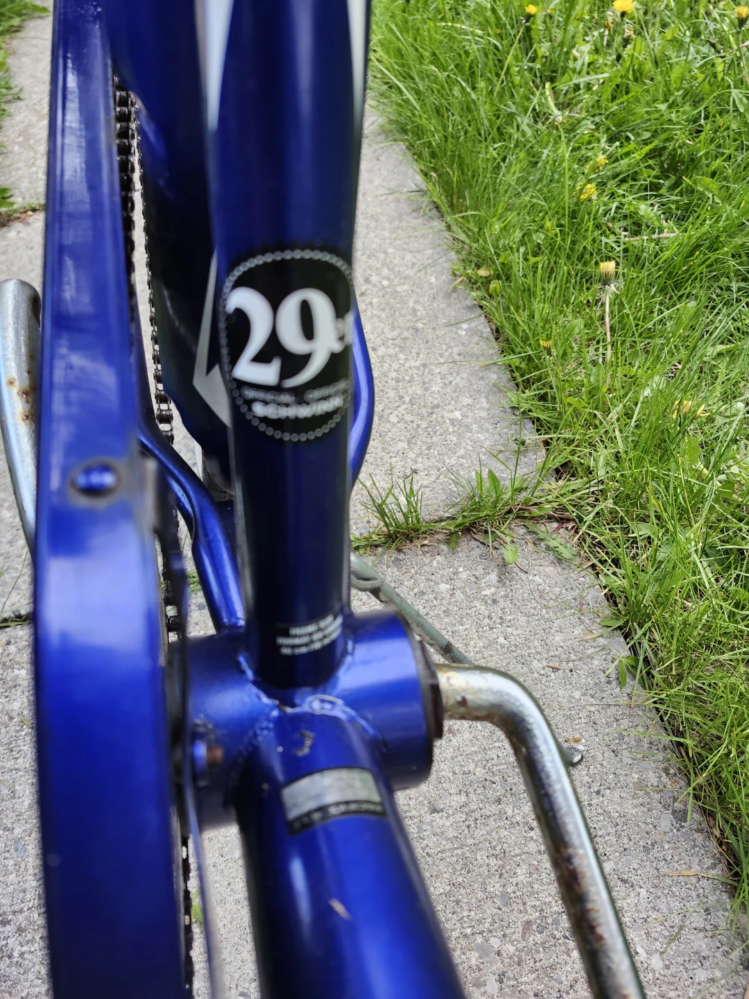 Otiginal Blue Schwinn "Delmar" Cruiser Bicycle - photo 5