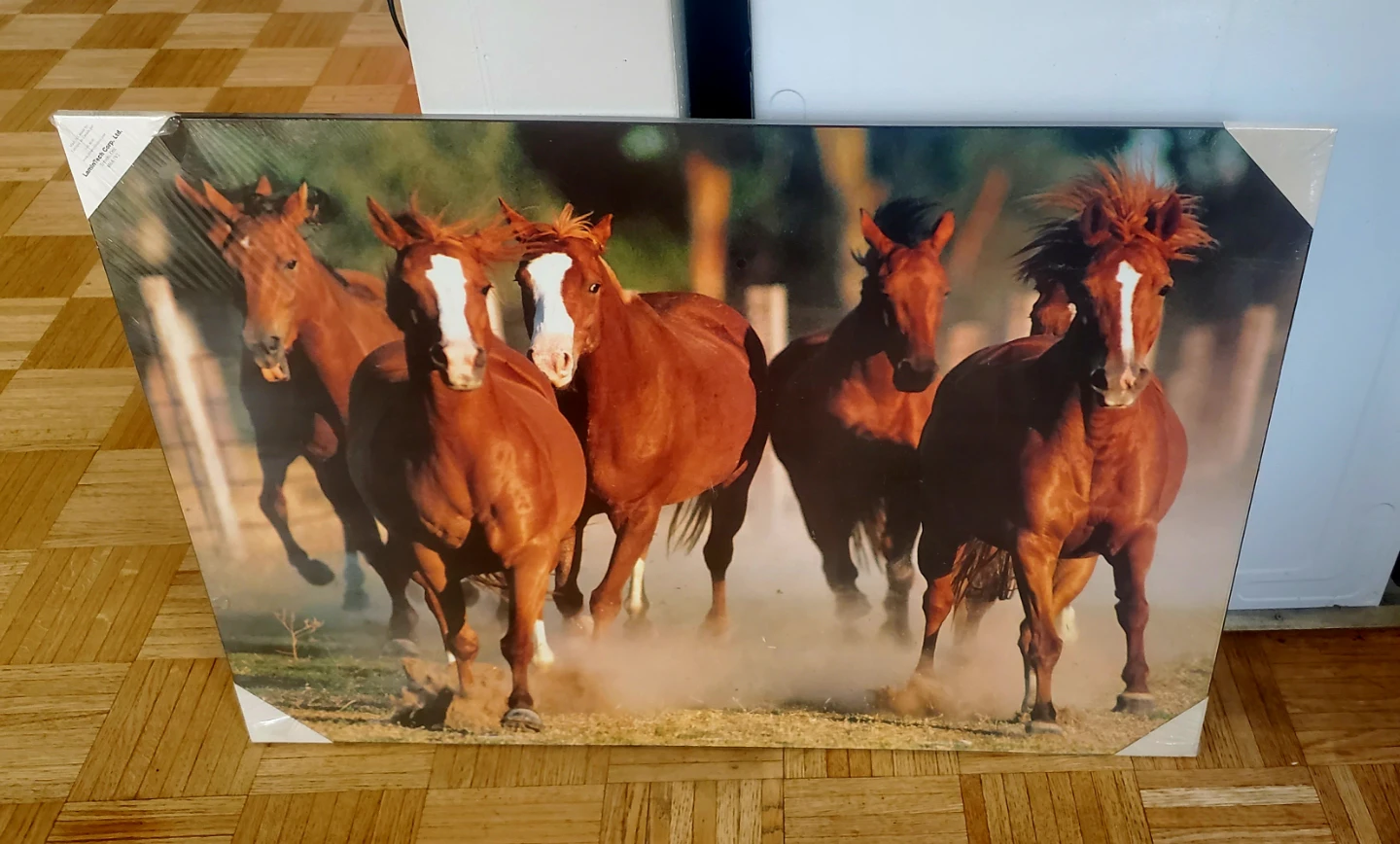Canvas Print - Running Horses