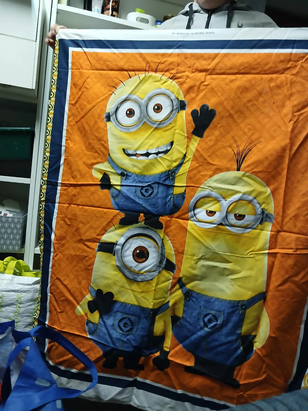 Fabric Bundle - Minions, Marvel Superheroes, Clifford - photo 2