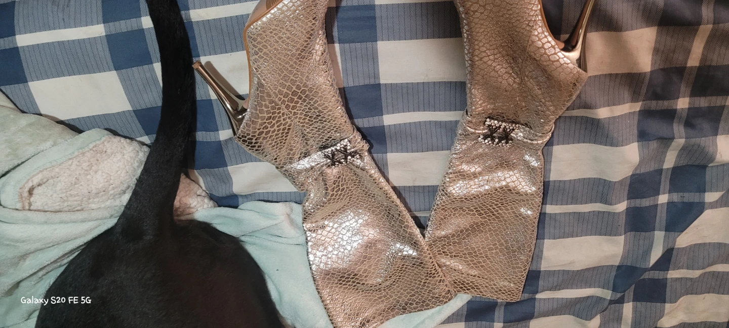 Silver Snake Print Stiletto Boots - photo 3