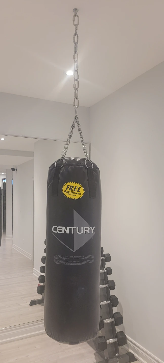 Century Punching Bag with Free Gloves