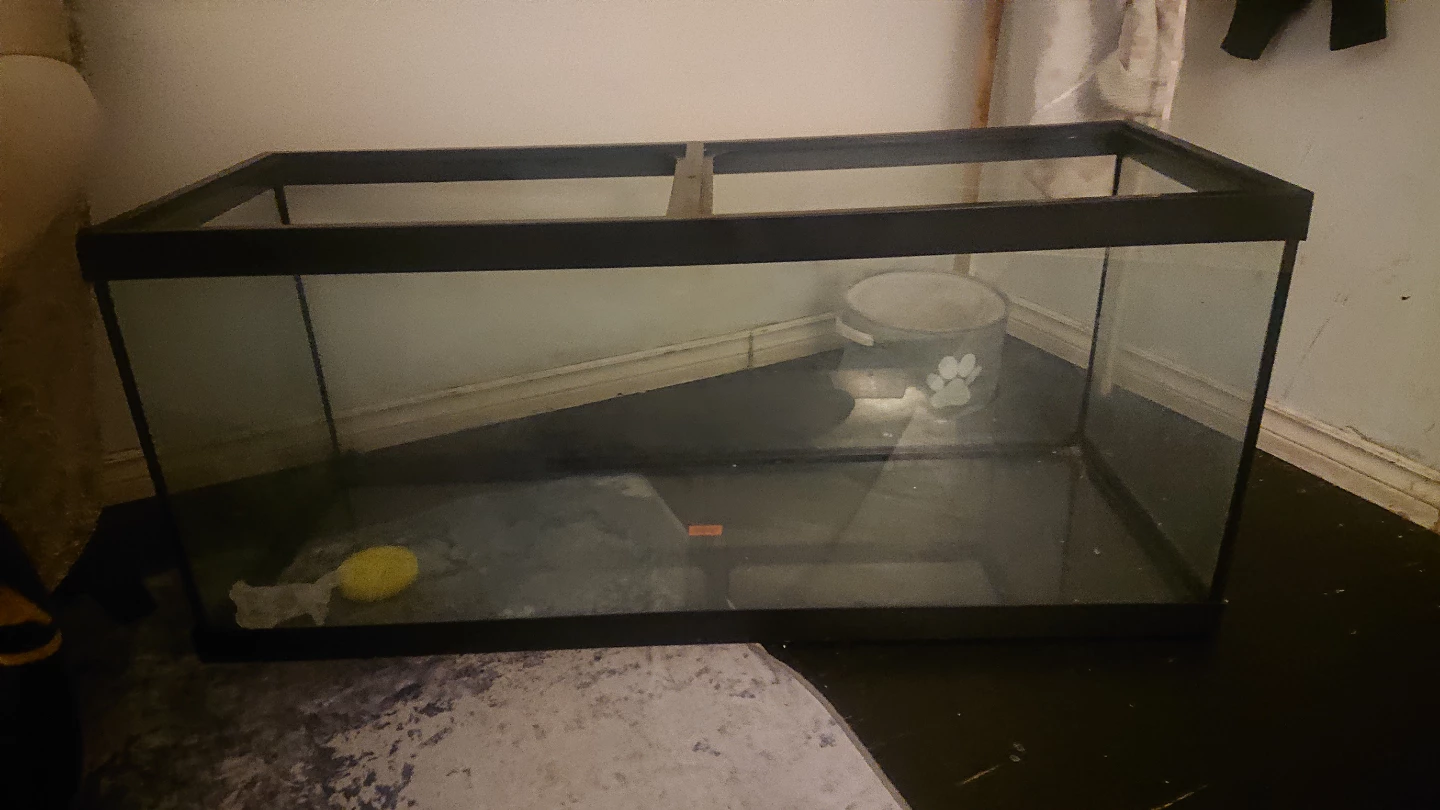 Glass Aquarium Tank