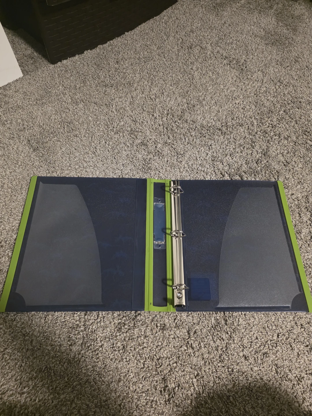 Dinosaur Binder - photo 2