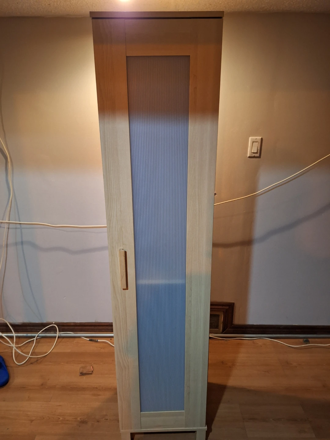 Ikea Tall Storage Cabinet with Frosted Glass Door