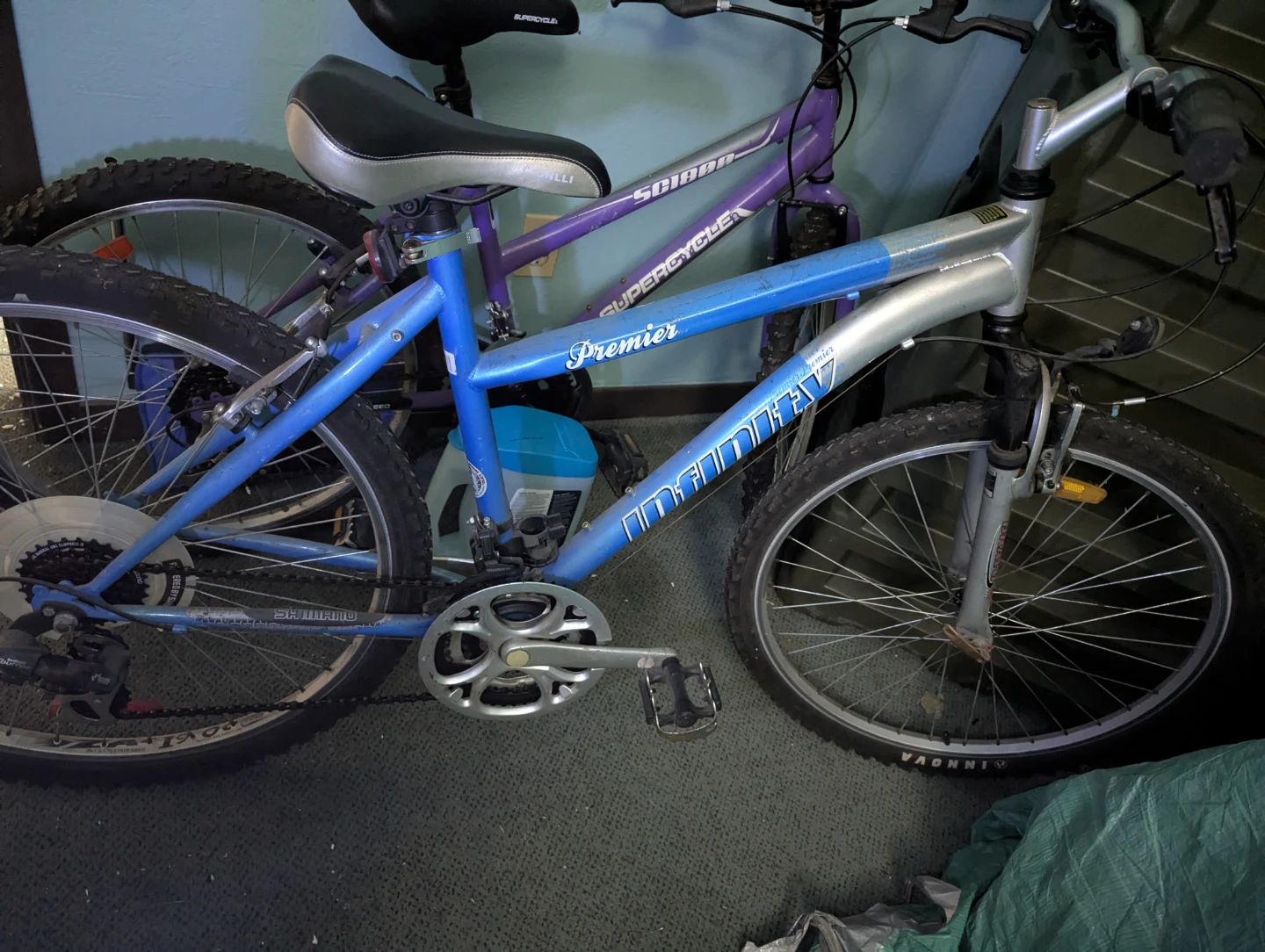 Premier Infinity Mountain Bike