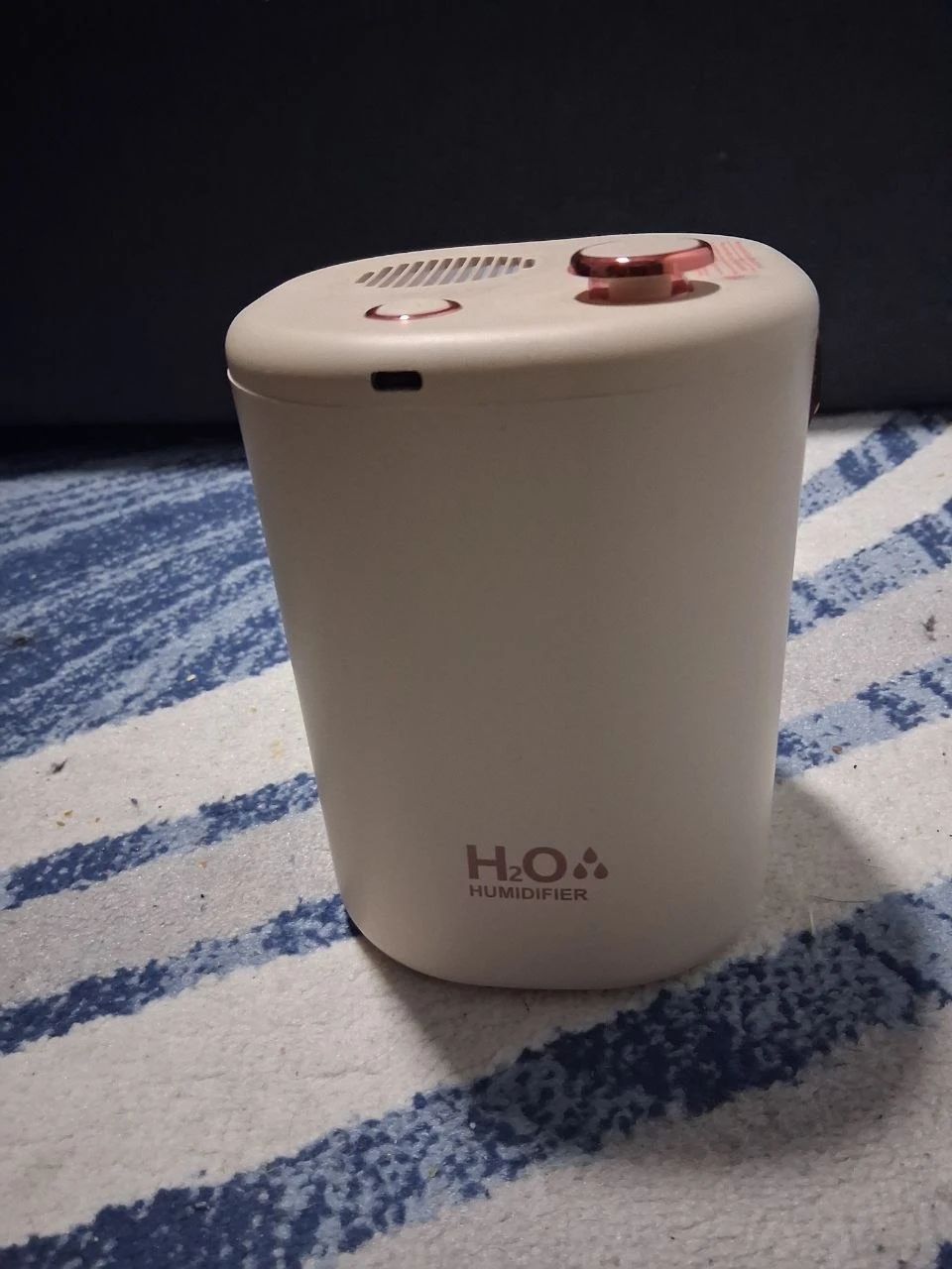 H2O Humidifier
