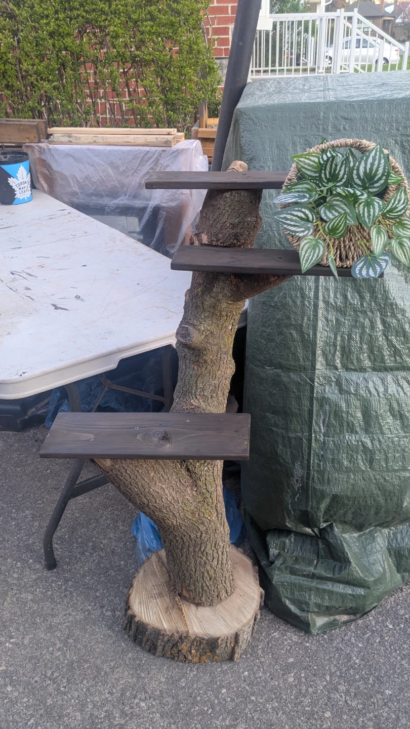 Three Tier Plant Shelves on Real Tree Trunk