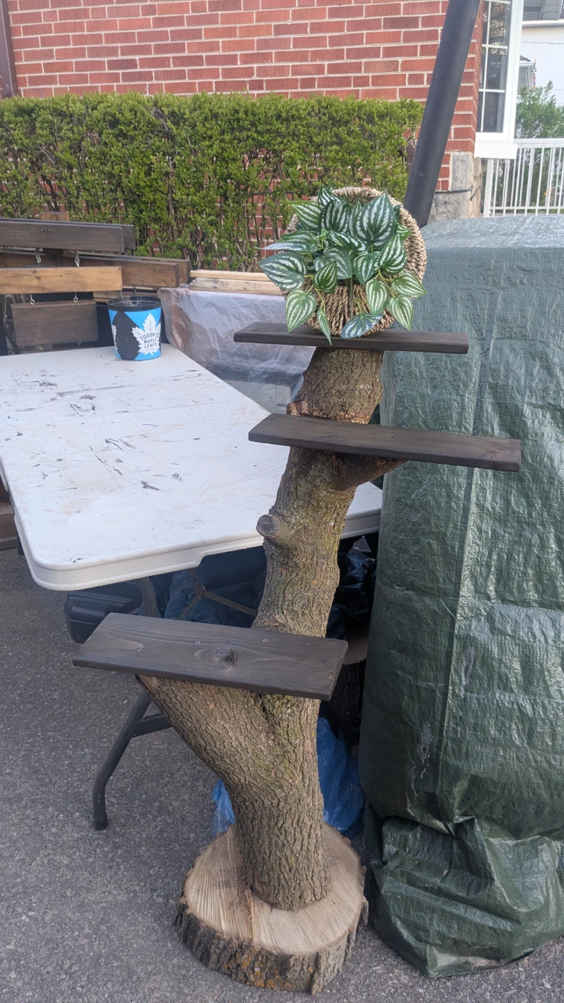 Three Tier Plant Shelves on Real Tree Trunk - photo 3