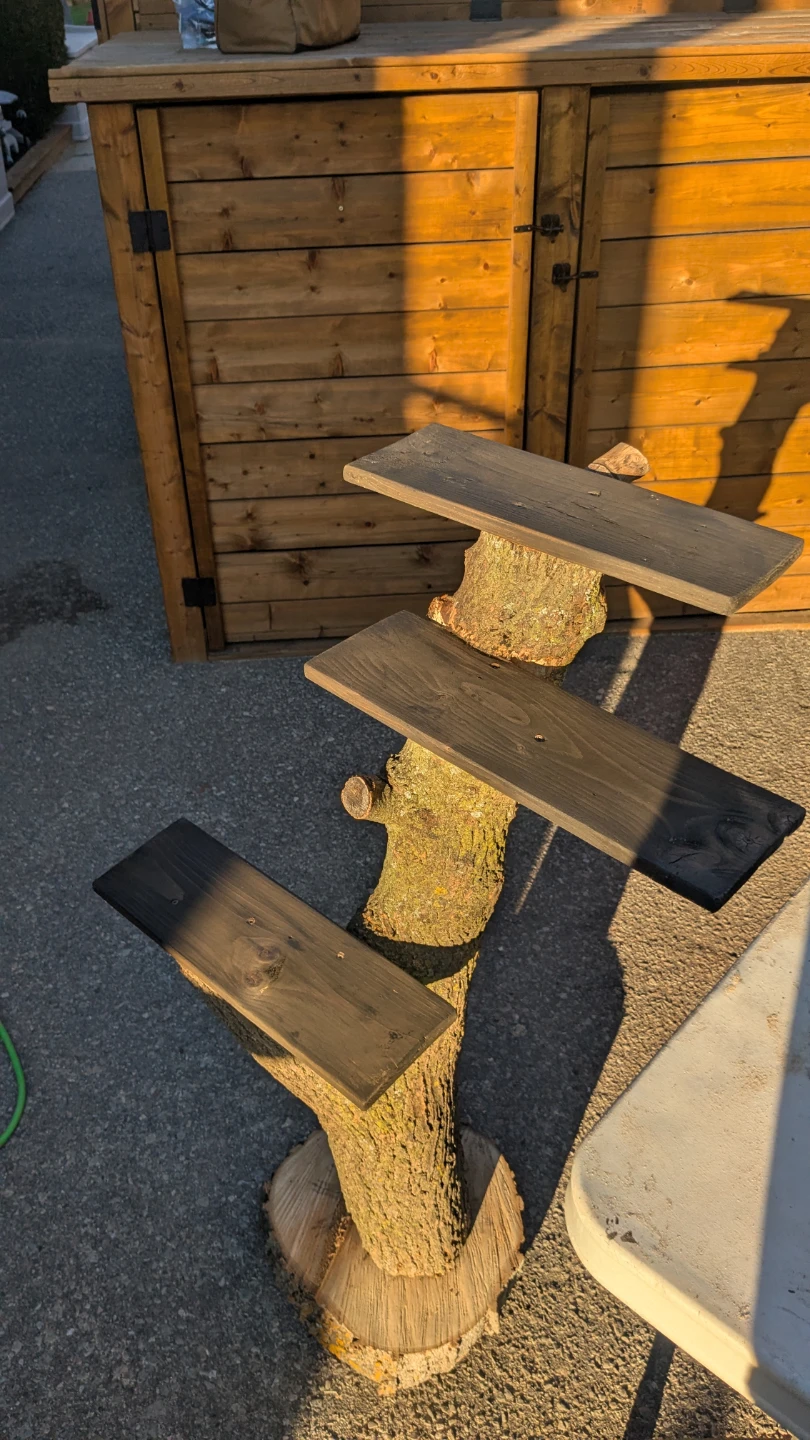 Three Tier Plant Shelves on Real Tree Trunk - photo 4