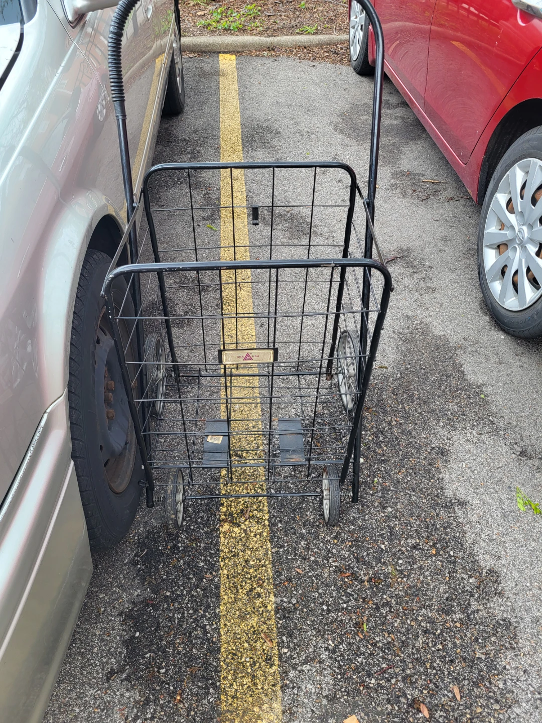 Black Folding Shopping Cart