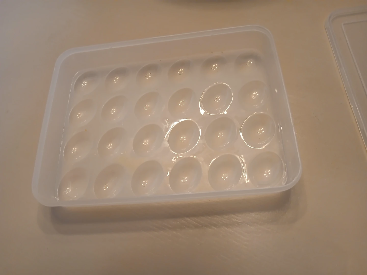 Plastic Egg Holder with Lid