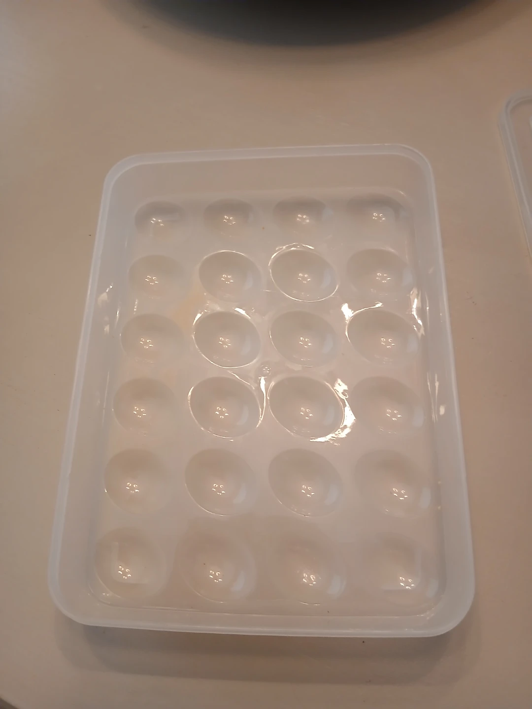 Plastic Egg Holder with Lid - photo 2
