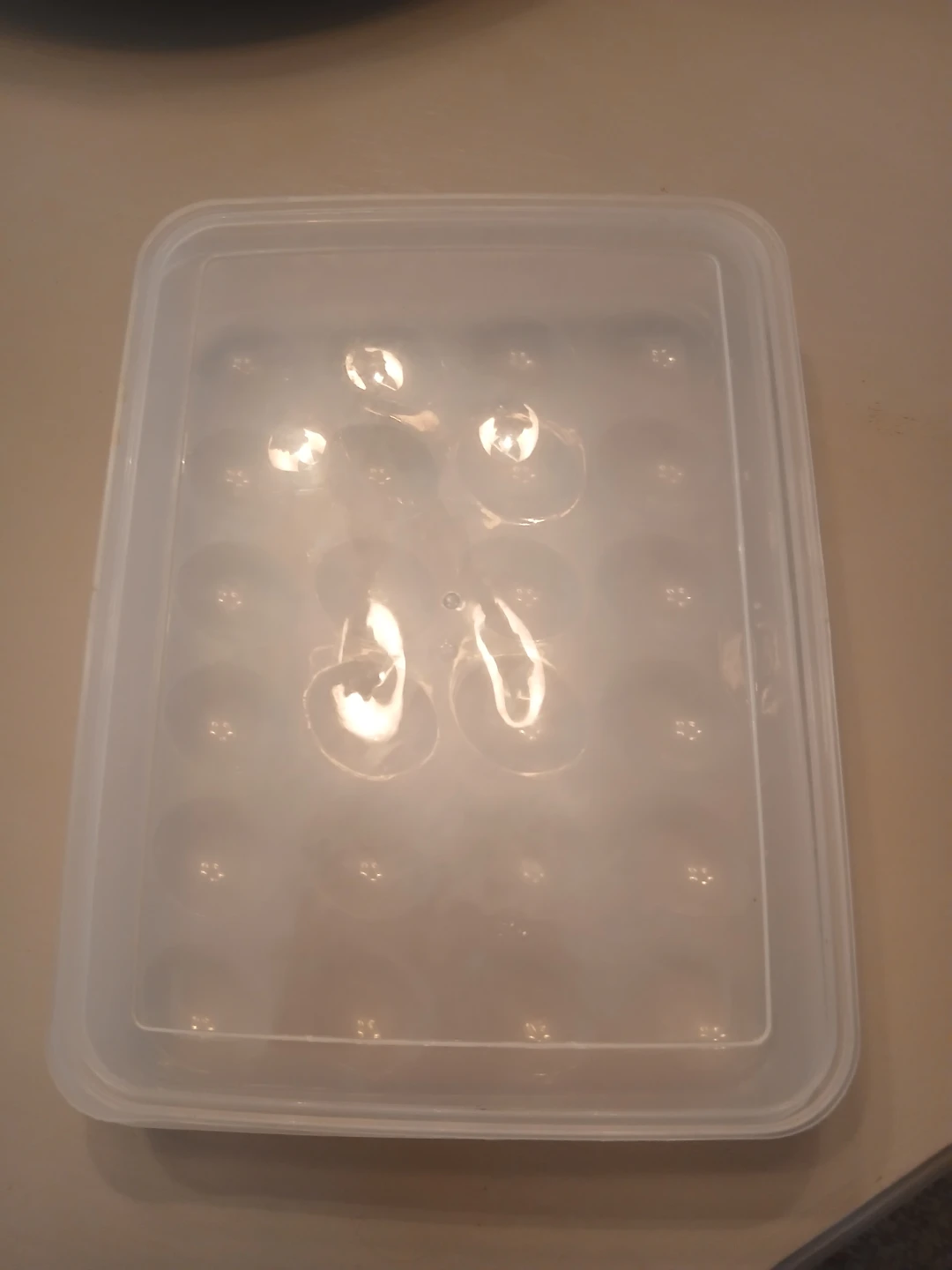 Plastic Egg Holder with Lid - photo 4