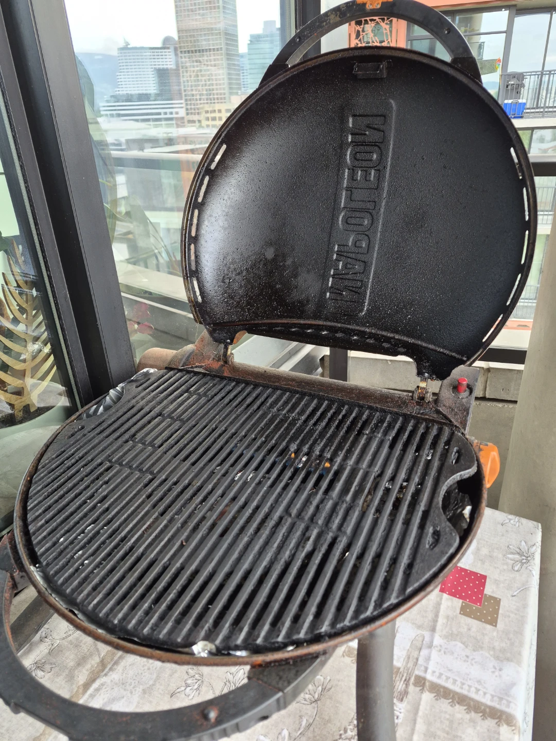 Napoleon Portable Propane Grill