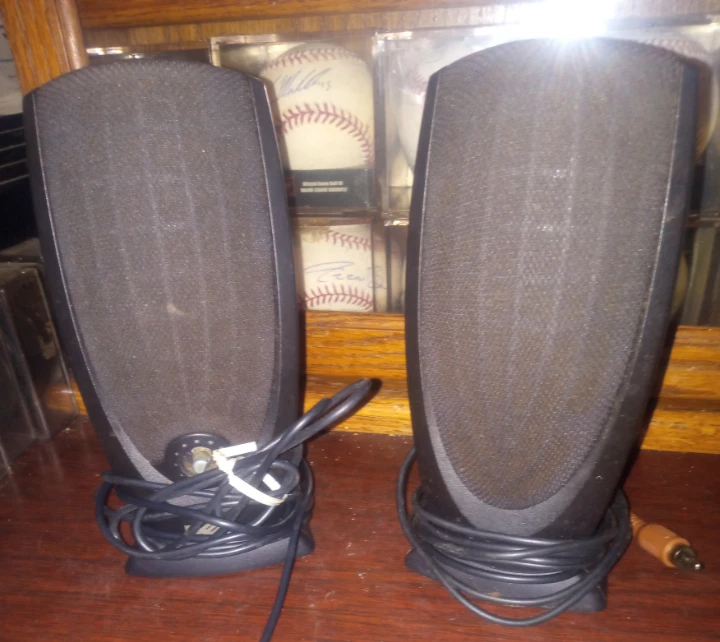 Pair of Black Computer Speakers