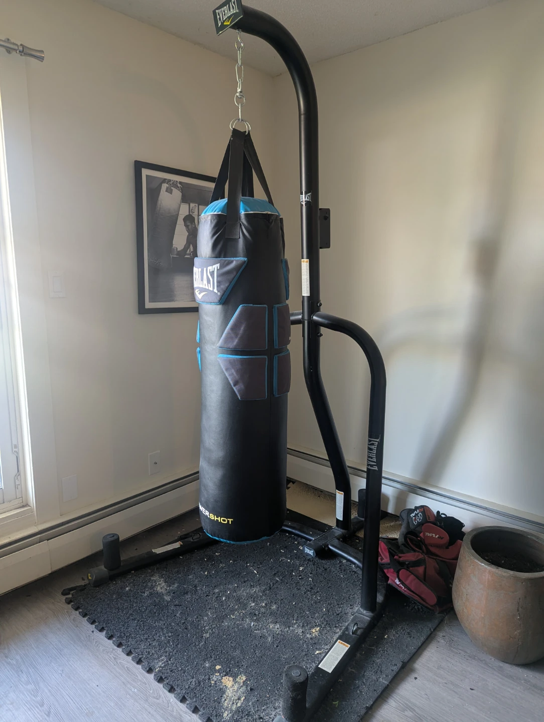 Everlast Heavy Bag and Stand
