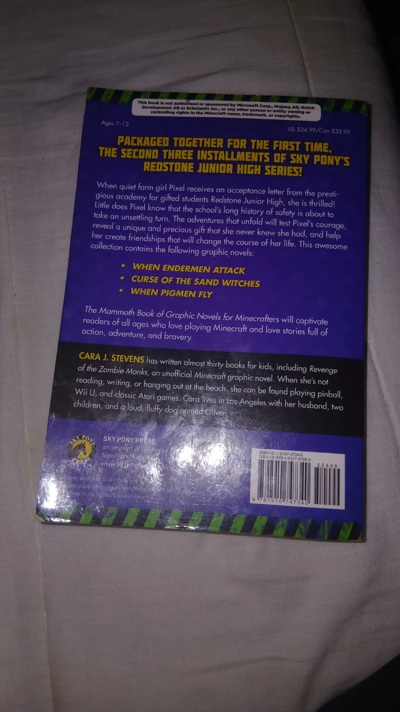 MINECRAFT The Mammoth Book of Graphic Novels Cara J. Stevens - photo 3