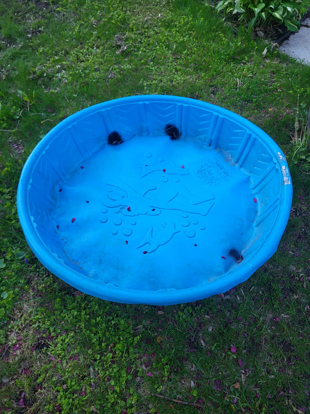 Little Tikes Blue Kiddie Pool- Repaired