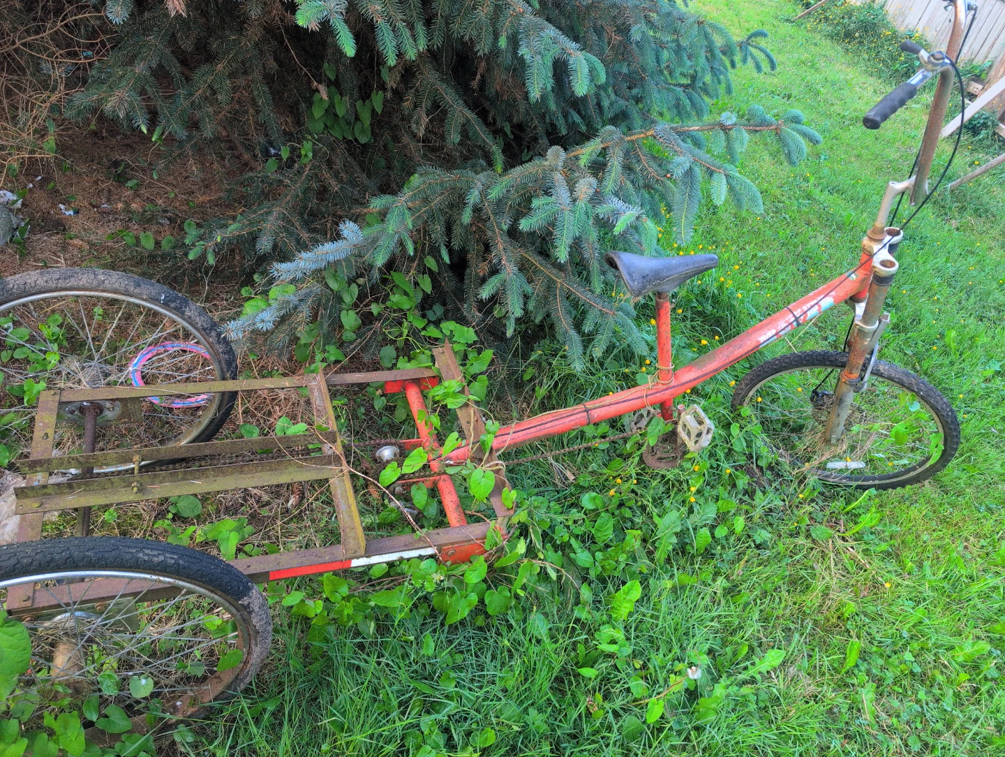 Red Cargo Tricycle Project