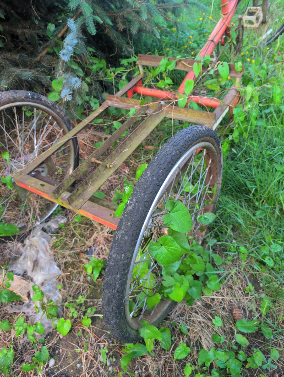 Red Cargo Tricycle Project - photo 2