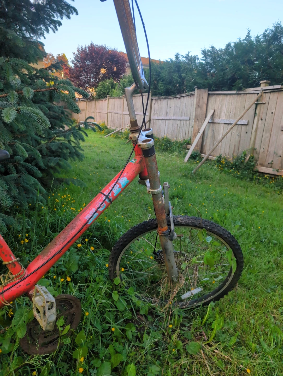 Red Cargo Tricycle Project - photo 3