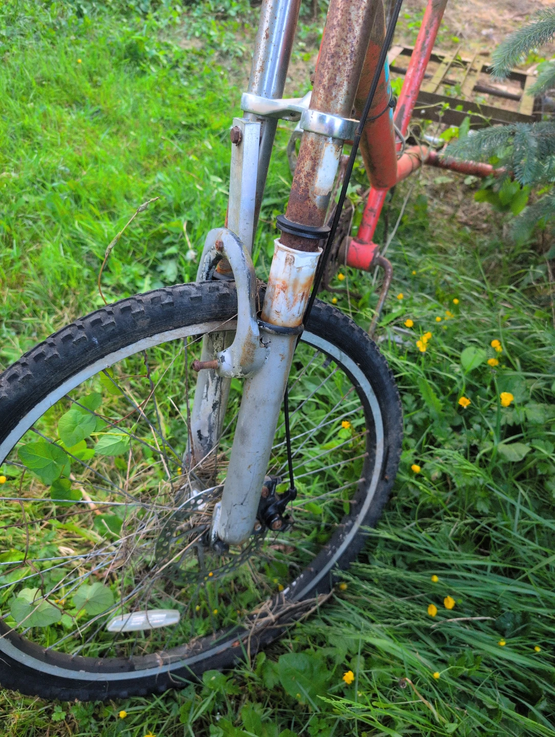 Red Cargo Tricycle Project - photo 4