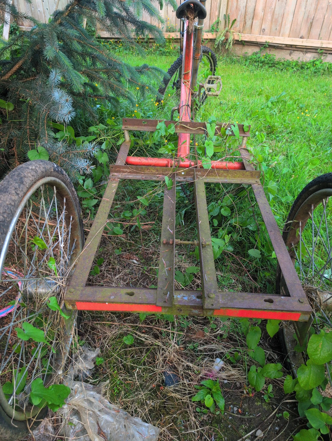 Red Cargo Tricycle Project - photo 5
