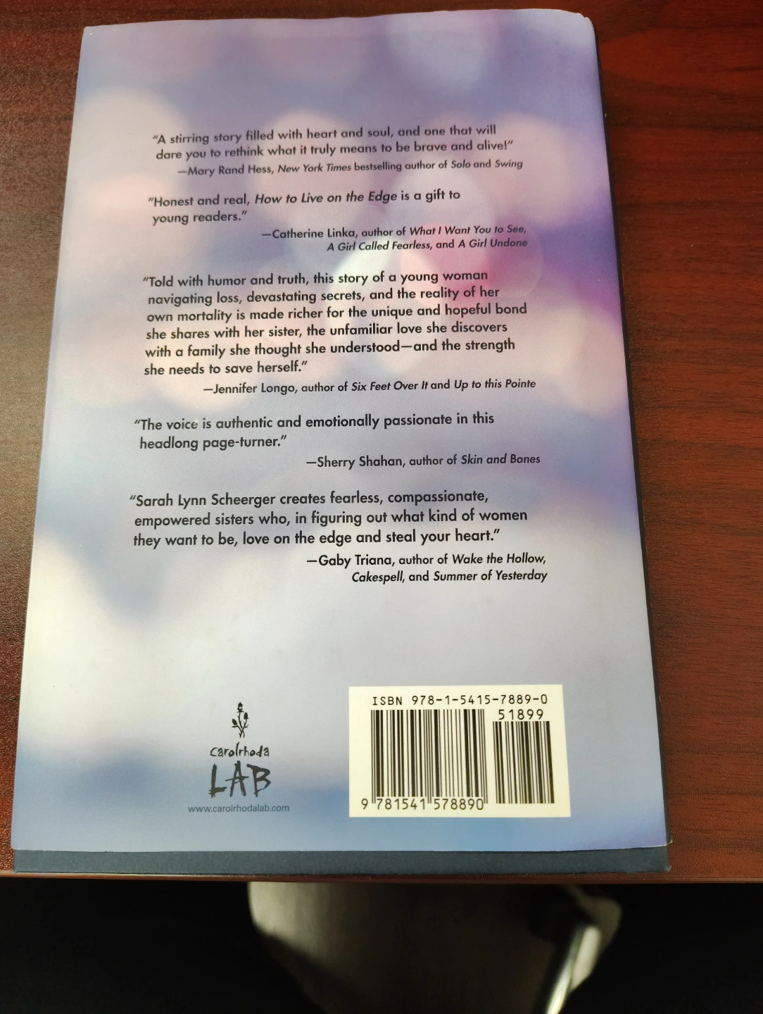 How to Live on the Edge by Sarah Lynn Scheerger - photo 2