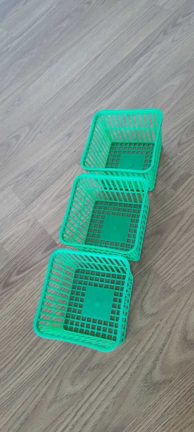 Green Plastic Storage Baskets (Set of 3)