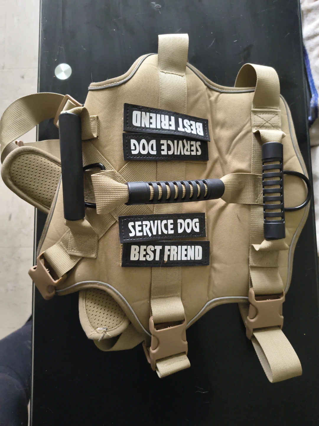 Service Dog Vest