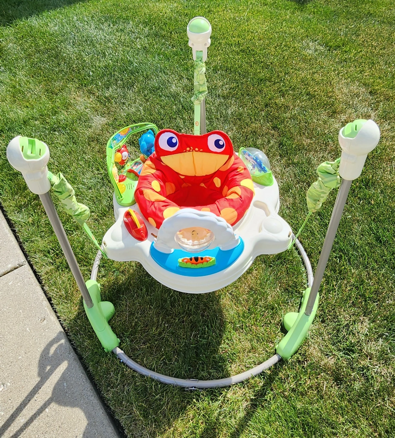 Baby Einstein Jumper