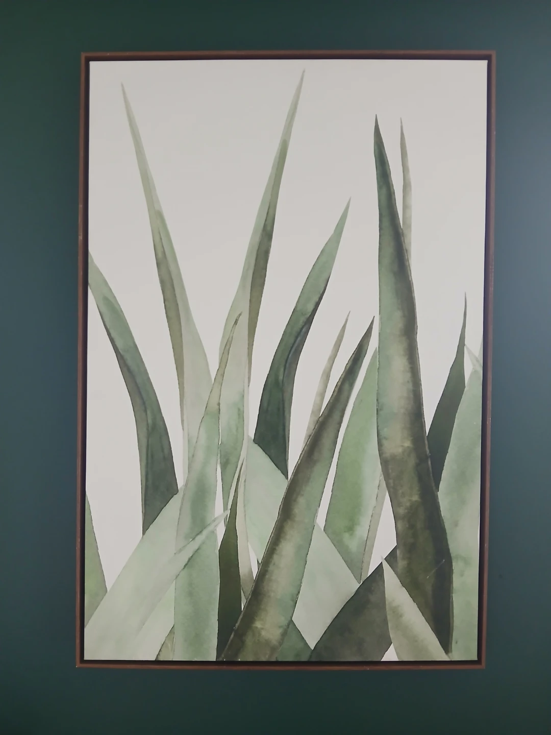 Framed Watercolour of Green Grass