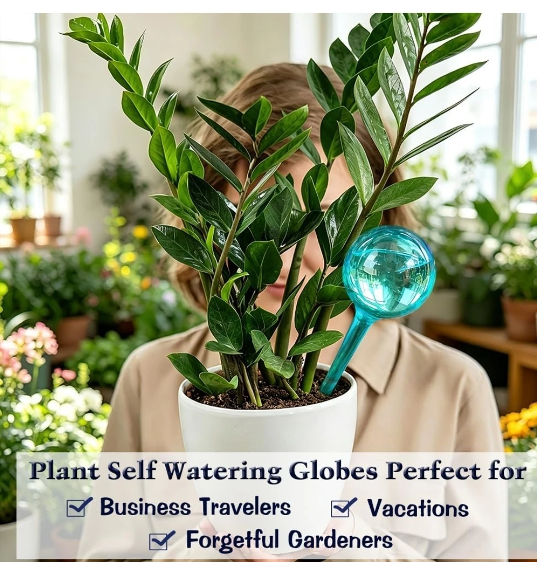 12 Pack Large Plant Self Watering Globes - photo 2