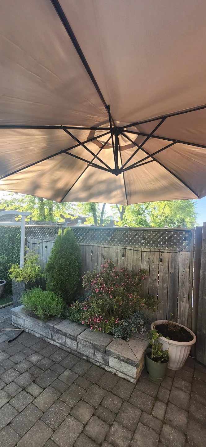 Cantilever Patio Umbrella