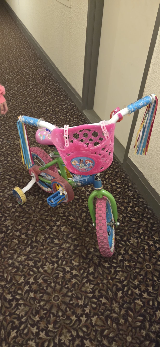 Kids Bike with Training Wheels