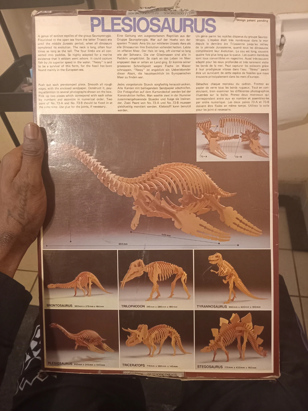 Animal Craft Pliosaurus Wooden Model Kit - photo 2