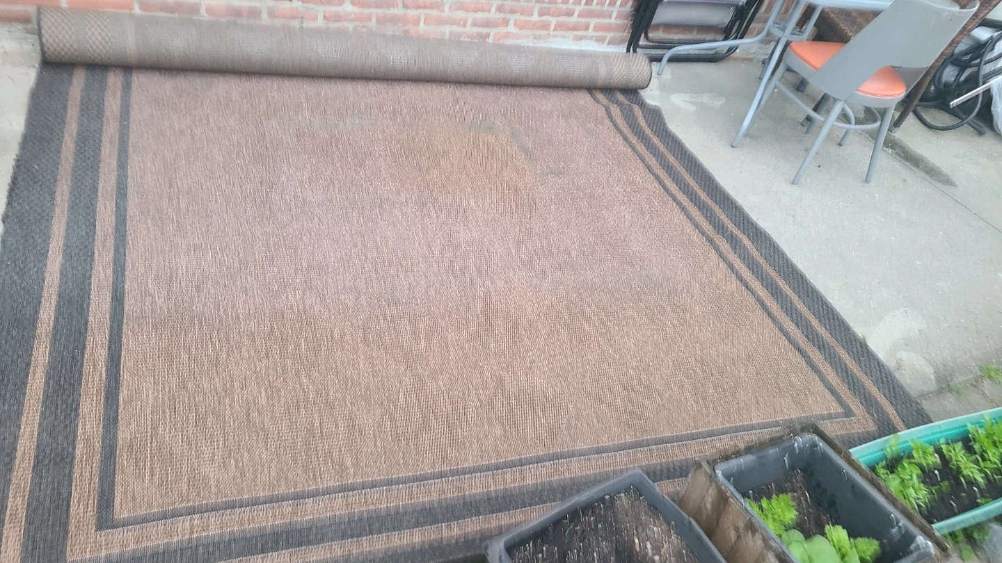Brown Outdoor Area Rug with Dark Border