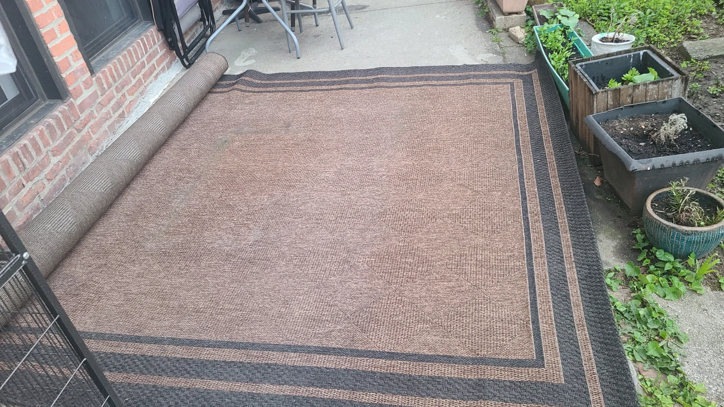 Brown Outdoor Area Rug with Dark Border - photo 3