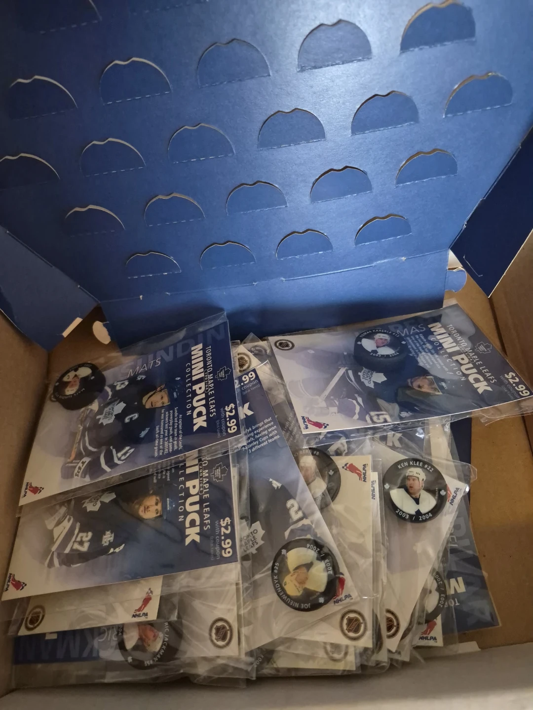 Toronto Maple Leafs Mini Puck Collection