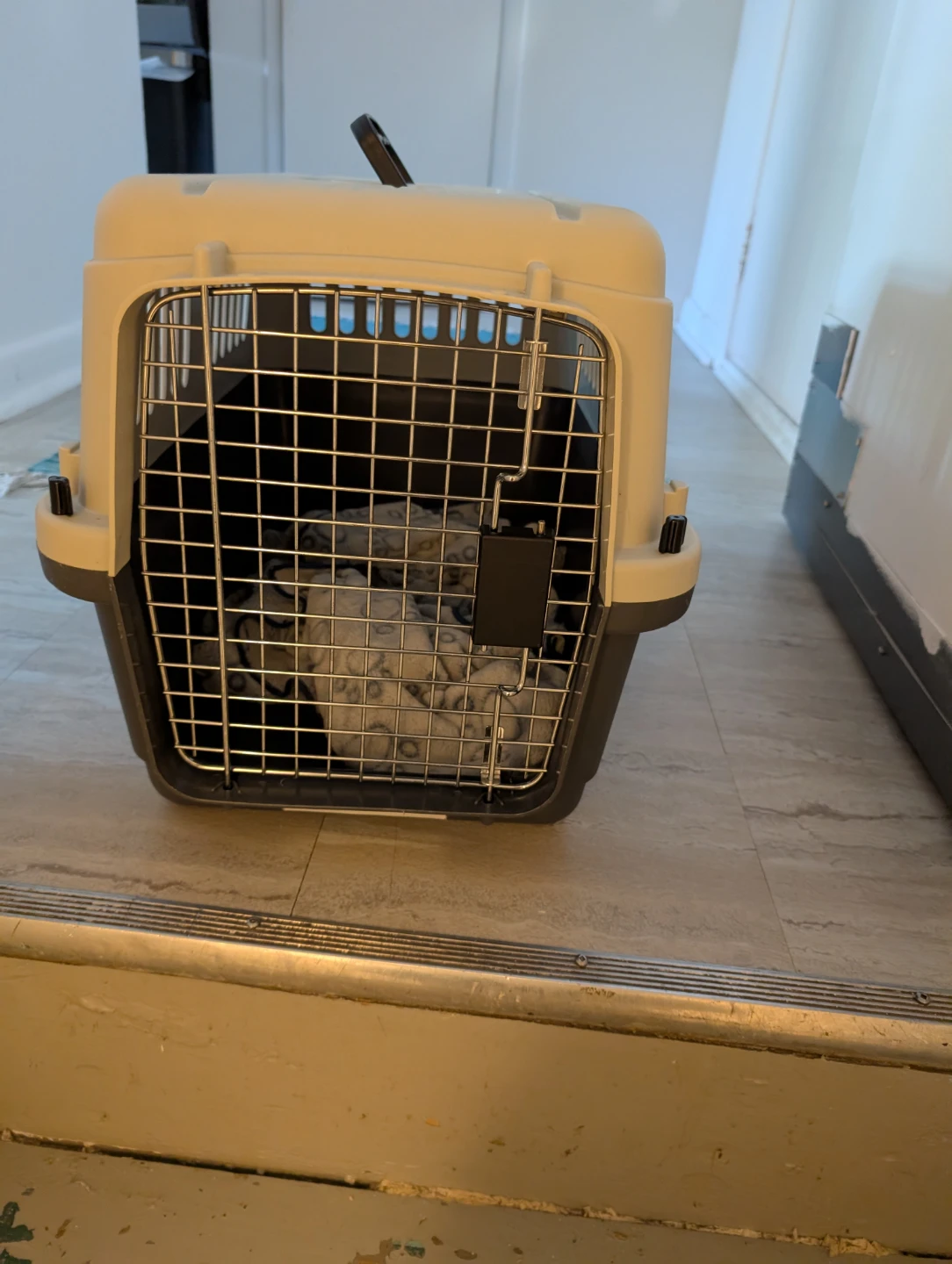 2 Pet Carrier Crate