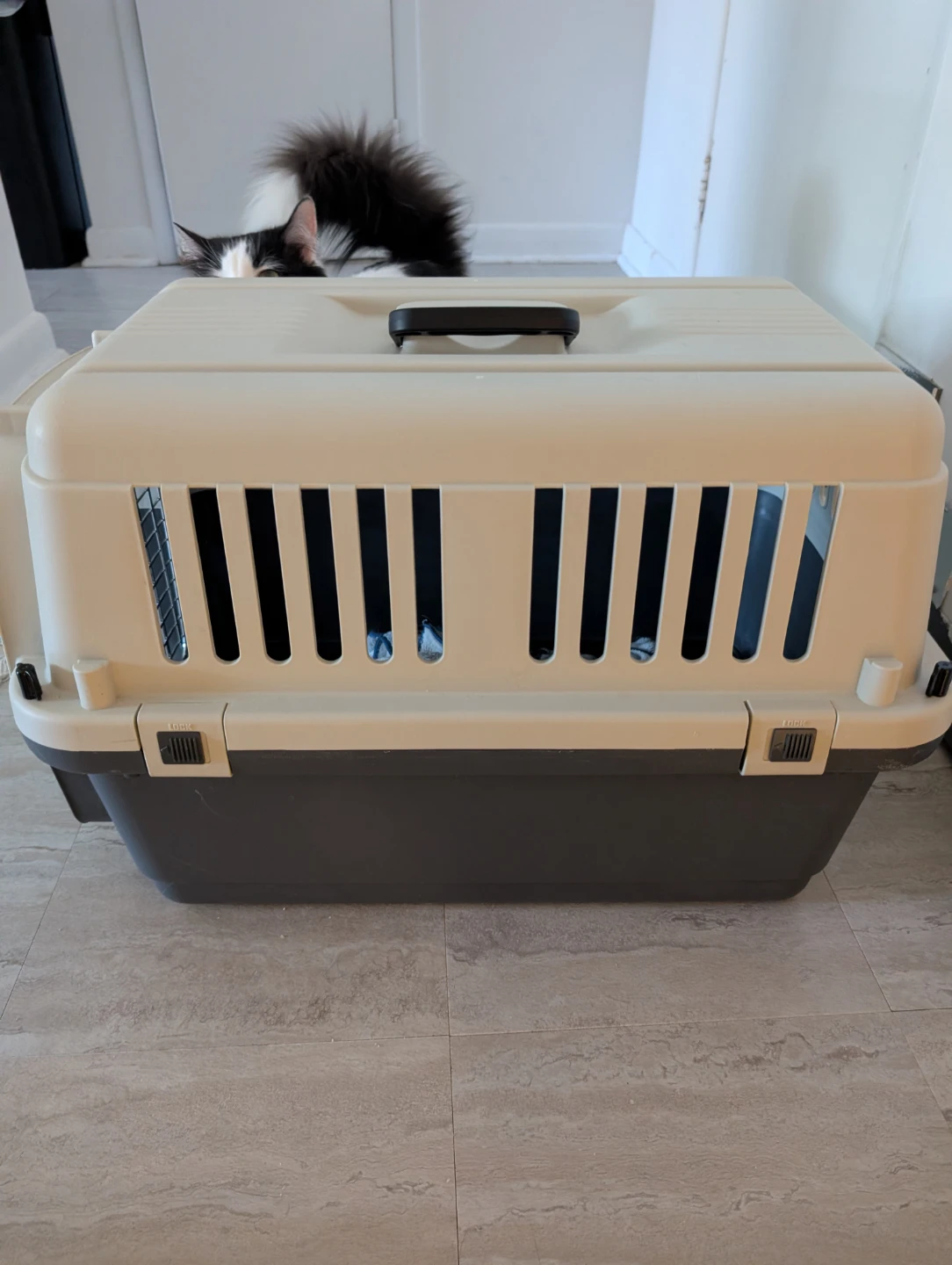 2 Pet Carrier Crate - photo 2