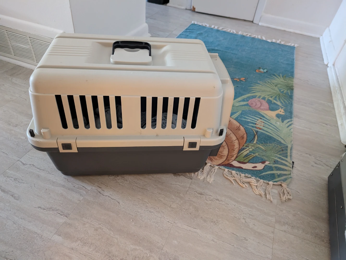 2 Pet Carrier Crate - photo 3